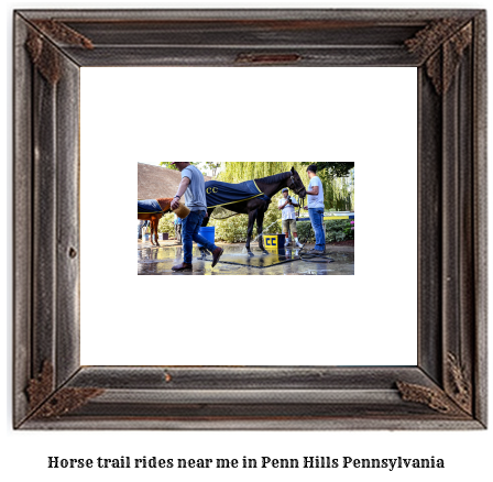 horse trail rides near me in Penn Hills, Pennsylvania